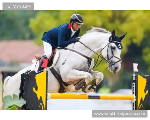 泰国马术协会举办国际马术科技大会，推动行业技术交流与合作。